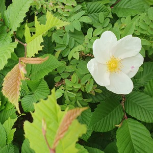 599338c2-3532-447d-9c9b-fbfba1faed1d_20230520_162716